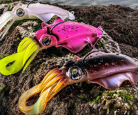 Soft Lures