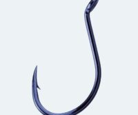 Octopus-Beak