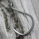 Octopus-Beak-style2