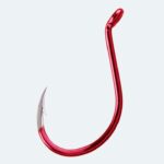 Red-Octopus-Beak