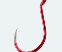 Red-Octopus-Beak