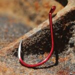 Red-Octopus-Beak-style2